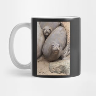 Elephant Seals Mug